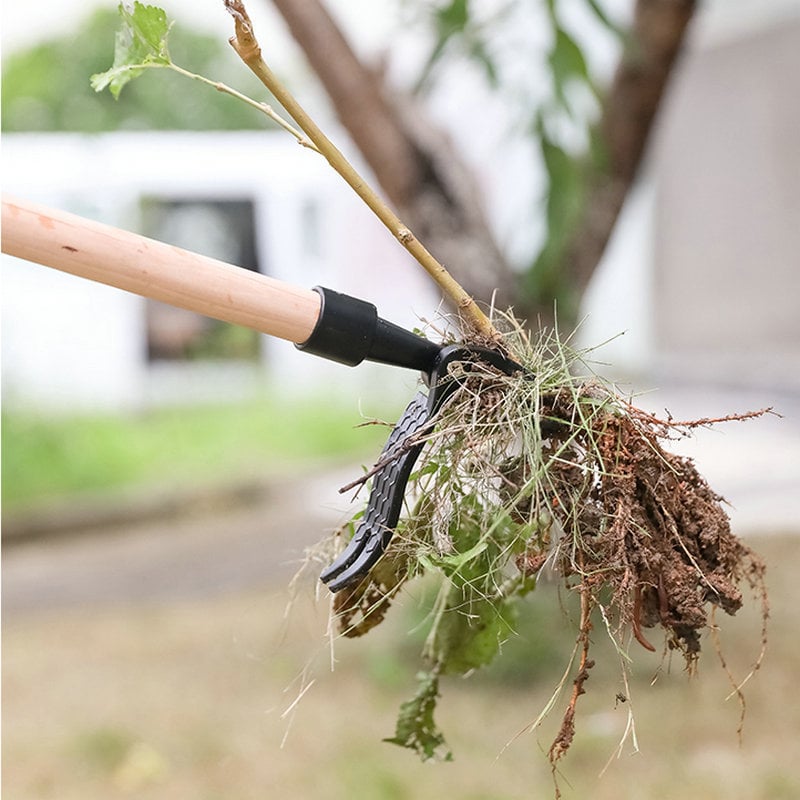 🔥Last Day 49% OFF🔥 - New detachable weed puller head(With a pole)