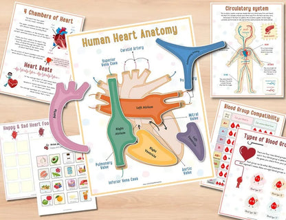 🔥LAST DAY 57% OFF -📚Human Anatomy Busy Book