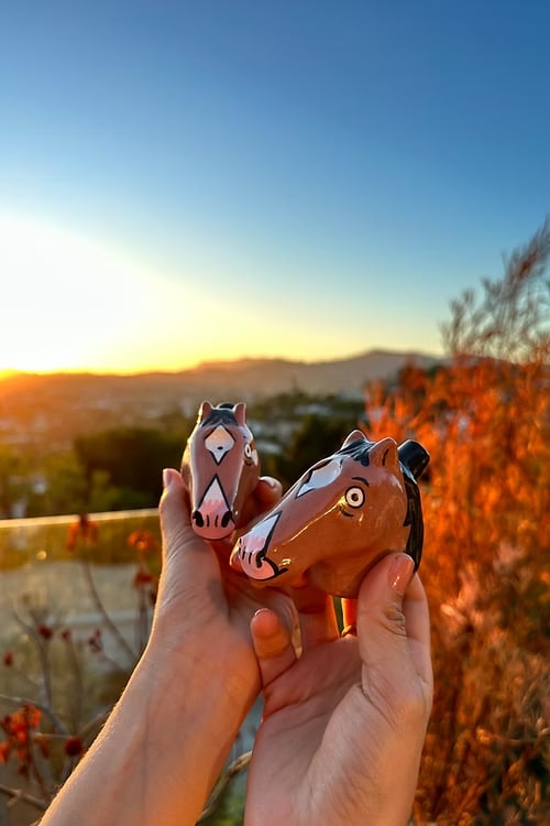 ⏰Pre-tariff Hike Clearance Sale: Save 49%-Handmade Bojack Horseman Inspired Ceramic Pipe