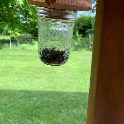 🔥Last 4 hours Sale: Save 49%-⏳Handmade Carpenter Bee Trap