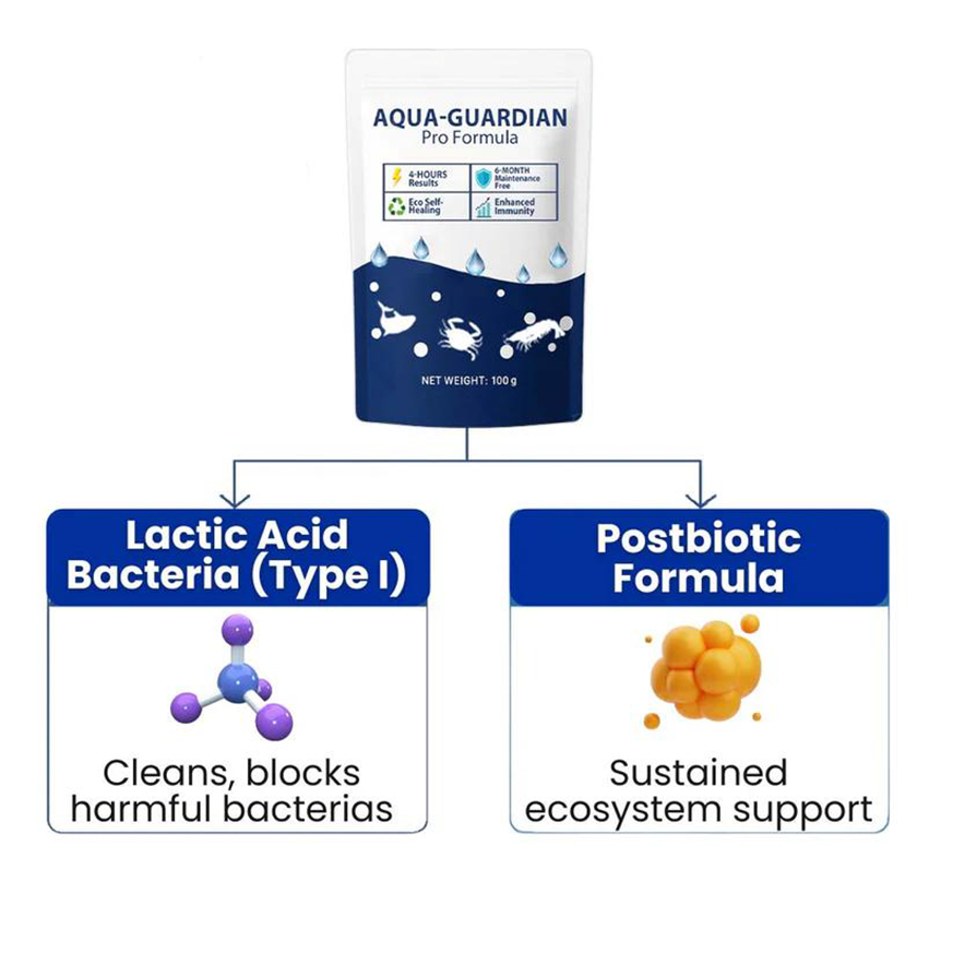 ✨ From Green to Clean Overnight! |⏱️ Crystal Clear in 24 Hours! |  Aqua-Guardian Pro Formula