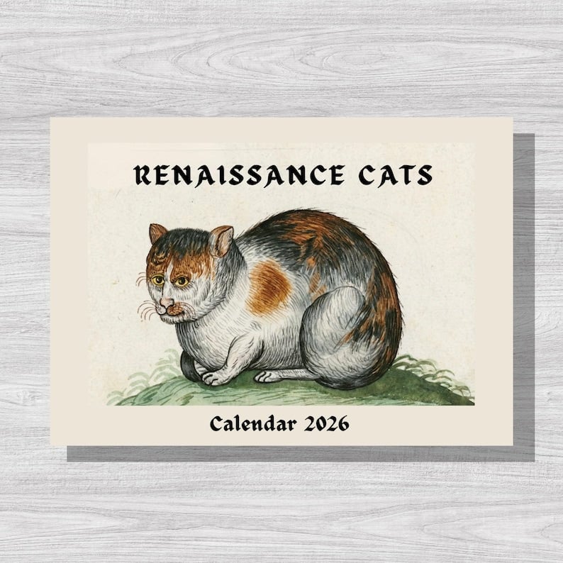 🔥Last Day 50% OFF - Ugly Cats In Renaissance Paintings 2026 Calendar