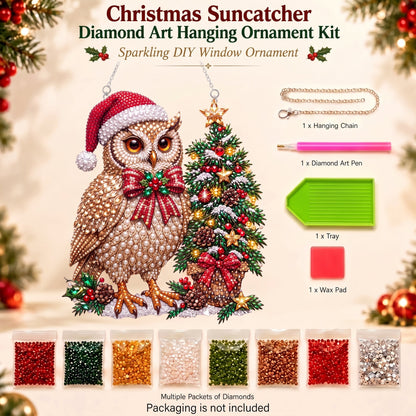🔥 Limited Time 70% OFF - 🦉✨ Winter Owl Crystal Art Hanging Kit – Sparkling DIY Christmas Decor