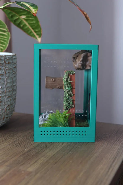 🔥Last Day 49% OFF - Jumping Spider Enclosure Spooder Park Decor