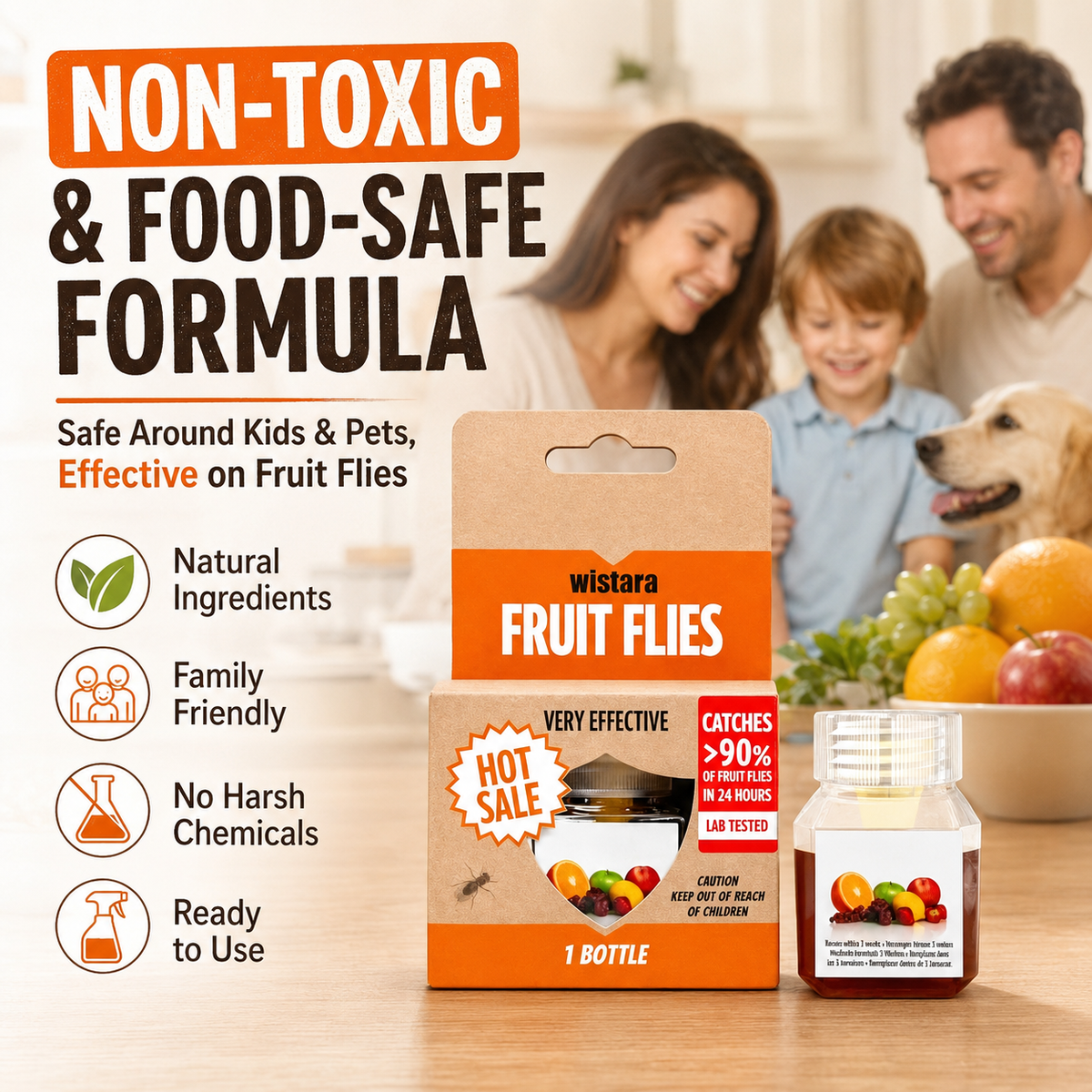 🏆🔥Fruit Fly Traps- safe for children and pets