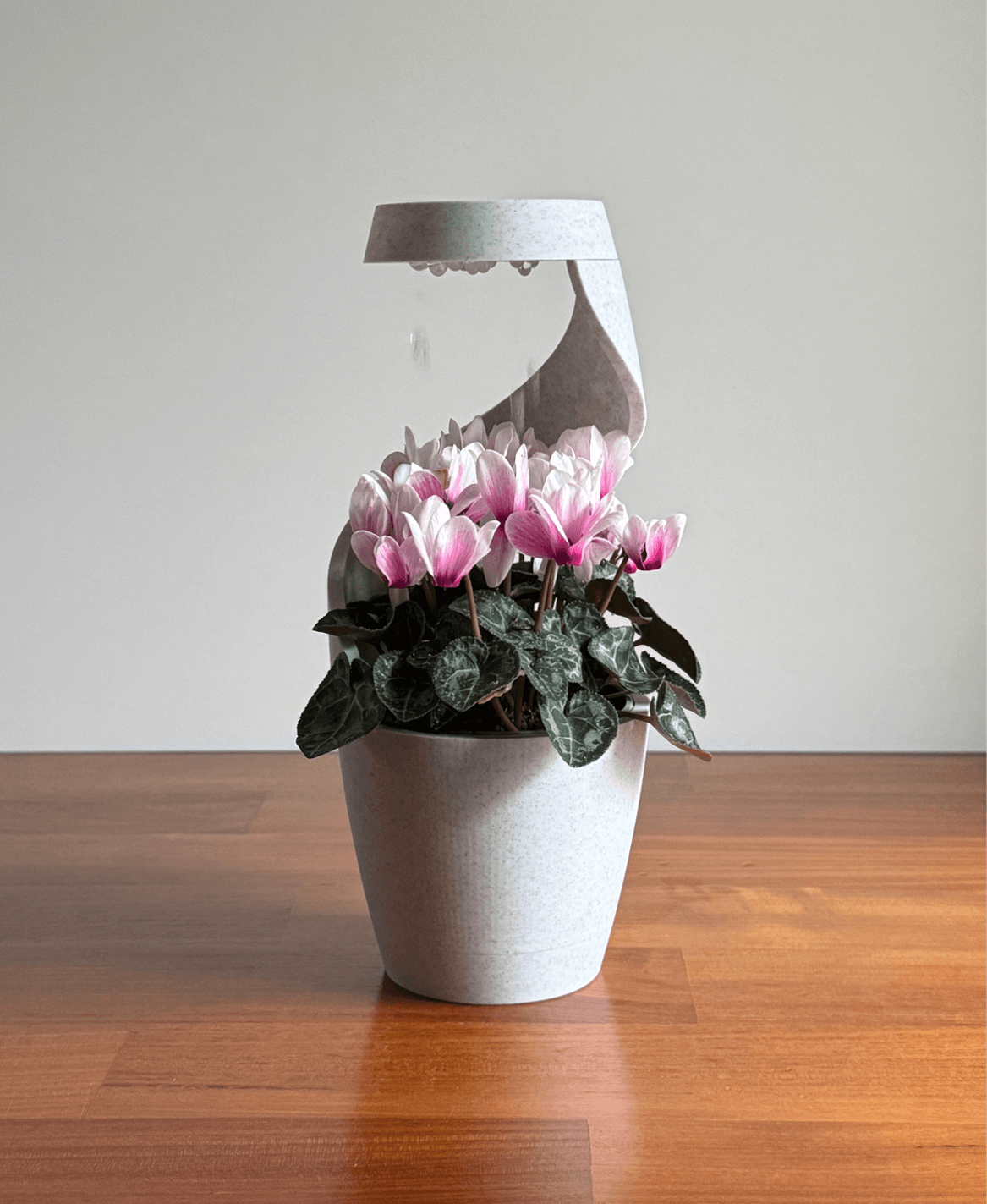 🔥Last Day 49% OFF - Raining Desktop Vase Pot Planter