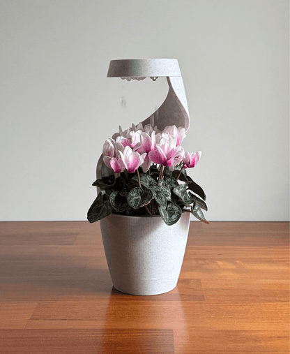 🔥Last Day 49% OFF - Raining Desktop Vase Pot Planter