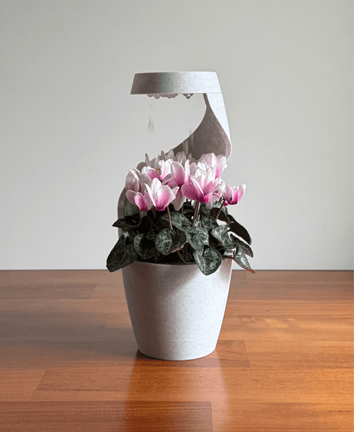 🔥Last Day 49% OFF - Raining Desktop Vase Pot Planter
