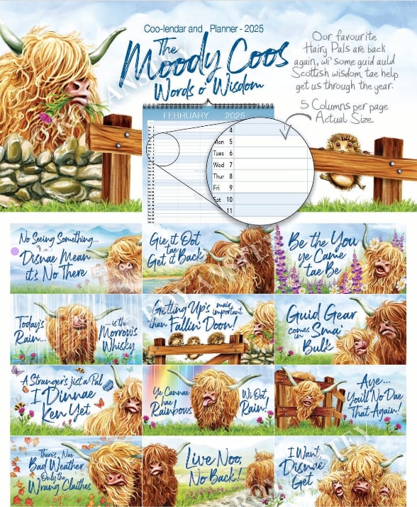 🎄Christmas Sales 49% OFF - Moody Coo: Words of Wisdom - 2026 Coo-lendar