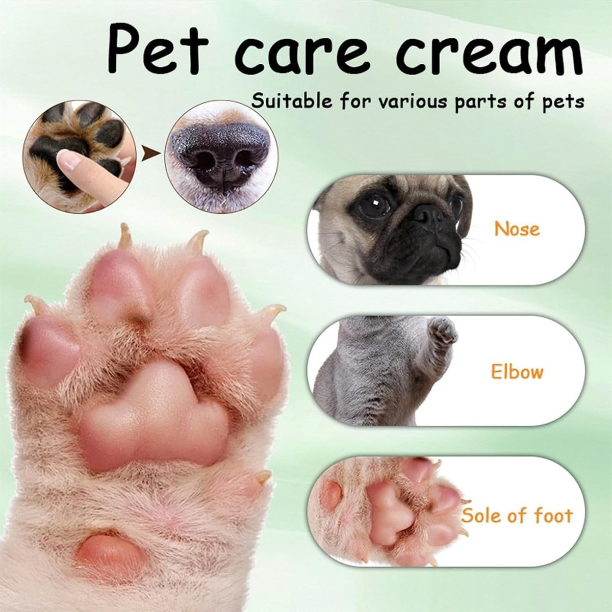 🔥🔥Dog Paw Balm Stick - Natural Green Tea Healing Cream