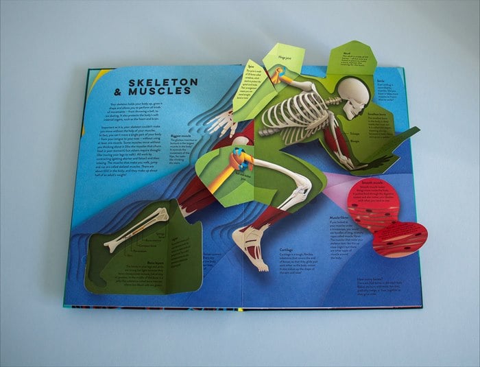 📚Paper World: Human Body🎅Best Christmas Gift for kids