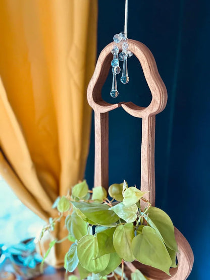 🔥Last 4 hours Sale: Save 50% -Plant Hanger