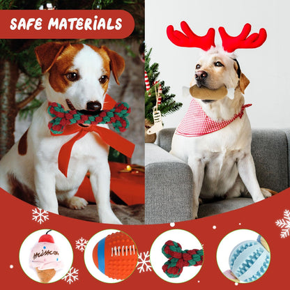 🔥LAST DAY SALE 50% OFF🐱Pet Advent Calendar 2024