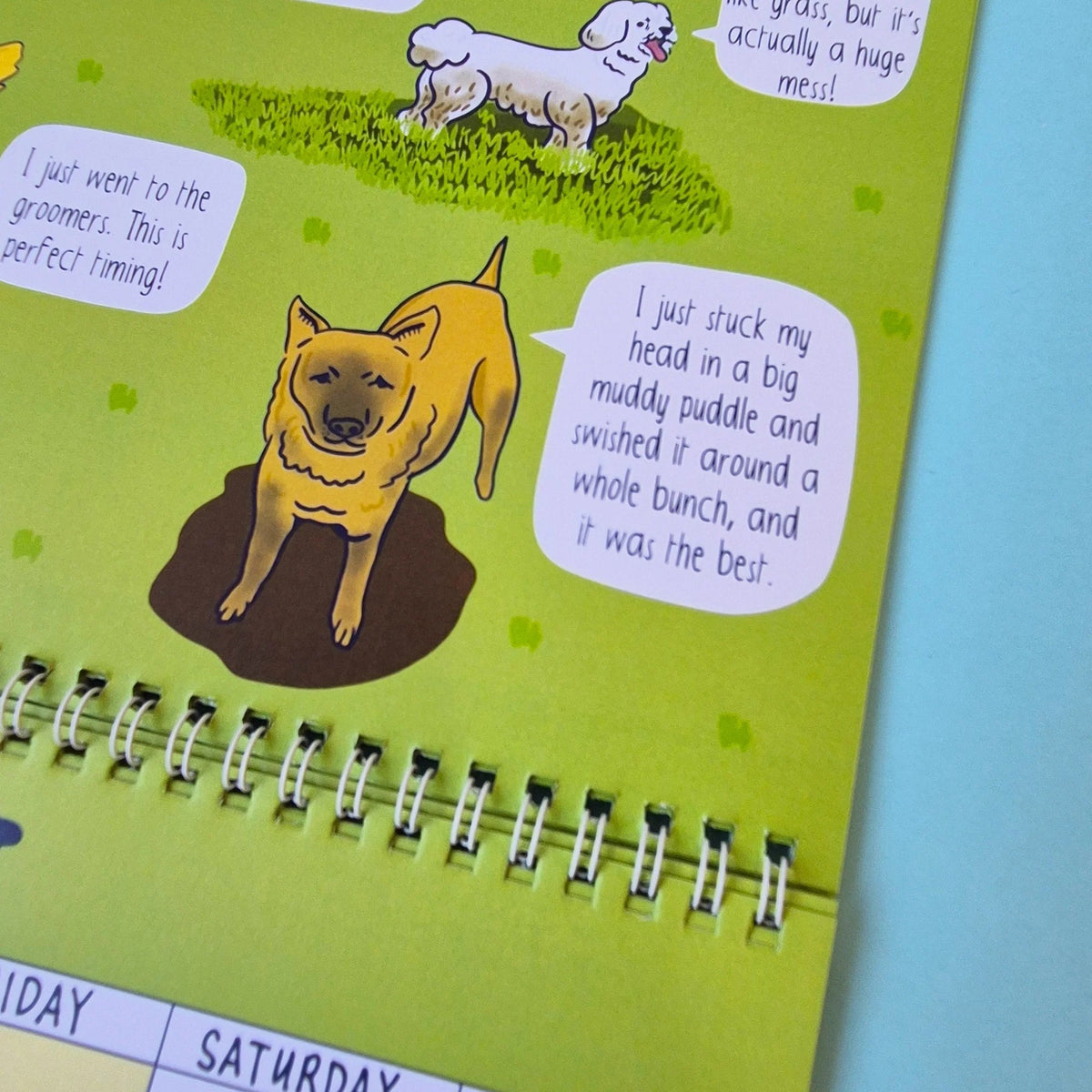 🔥Last Day 49% OFF - 🐶2026 Dog Park Calendar