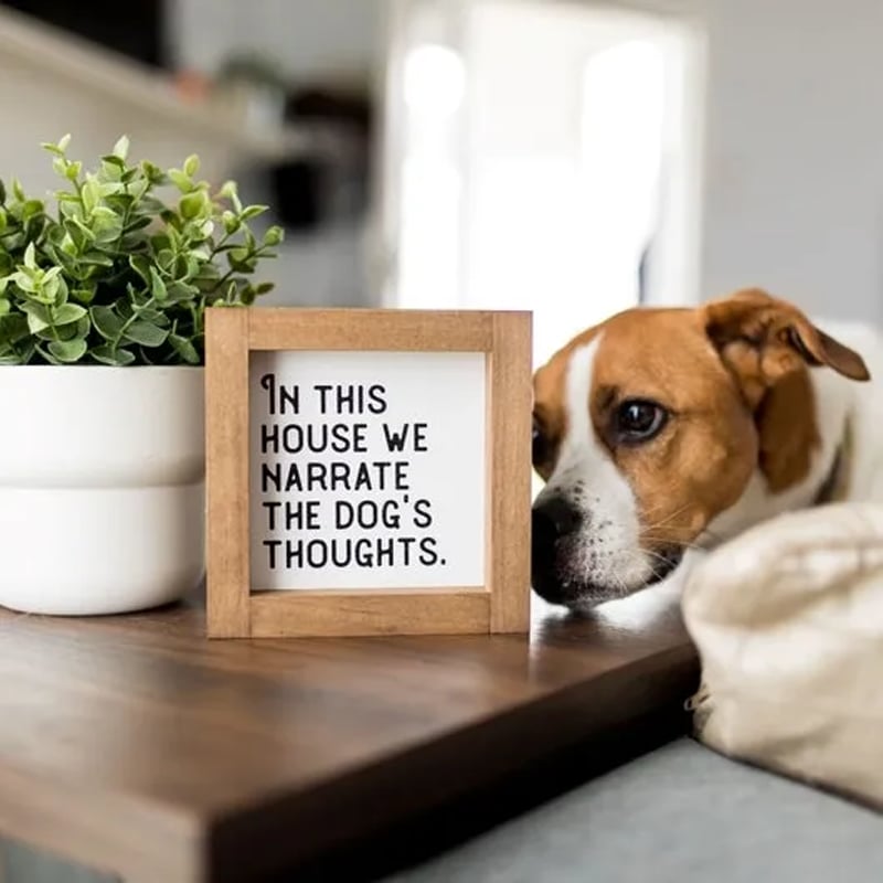 🔥LAST DAY 50% OFF - 😺🐶Pet Slogan Home Decorations