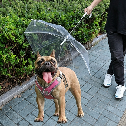 Pet Umbrella with Leash Chain, Waterproof Dog Walking Rain Umbrella