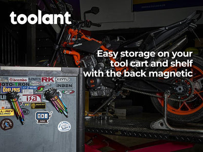 🔥Last Day Promotion 49% OFF - 🛠️Toolant Allen Wrench Allen Key Metric & SAE Set