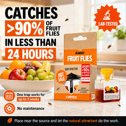 🏆🔥Fruit Fly Traps- safe for children and pets