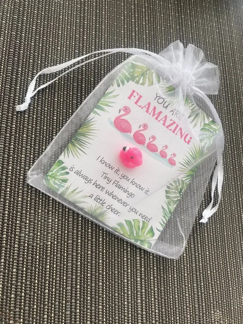🔥Last Day 50% OFF - 🥰🦩Mini Flamingo Pocket Hug