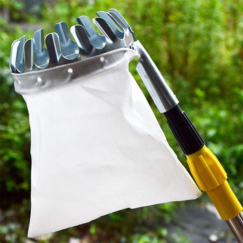 🥳2026 HOT SALE🥳💞50K+ SOLD! 🍎🌳 50% OFF! Fruit Picker Head Basket – no ladder needed, easy attach & reach high branches. Durable metal tines + nylon bag, pick apples, pears & more without damage! 🛡️💪