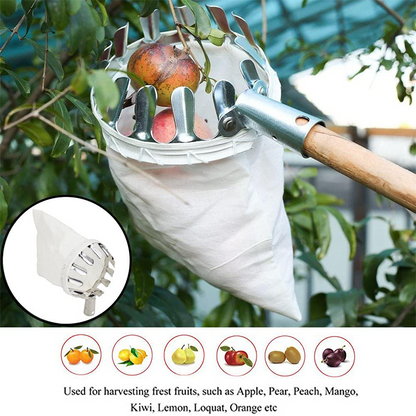 🥳2026 HOT SALE🥳💞50K+ SOLD! 🍎🌳 50% OFF! Fruit Picker Head Basket – no ladder needed, easy attach & reach high branches. Durable metal tines + nylon bag, pick apples, pears & more without damage! 🛡️💪