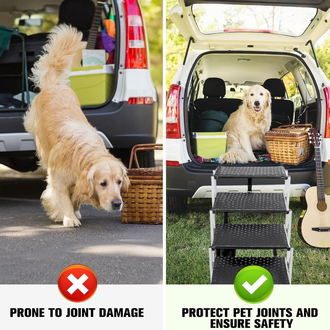 Portable PawStep